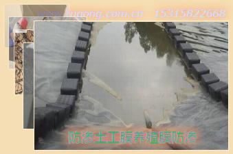 防滲土工膜養(yǎng)殖膜防滲